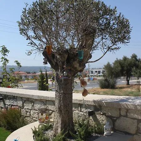 Eritrina Hotel 2*