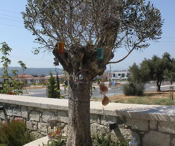 Eritrina Hotel 2*